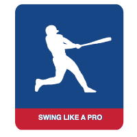 Swing Like a Pro Hitting Product